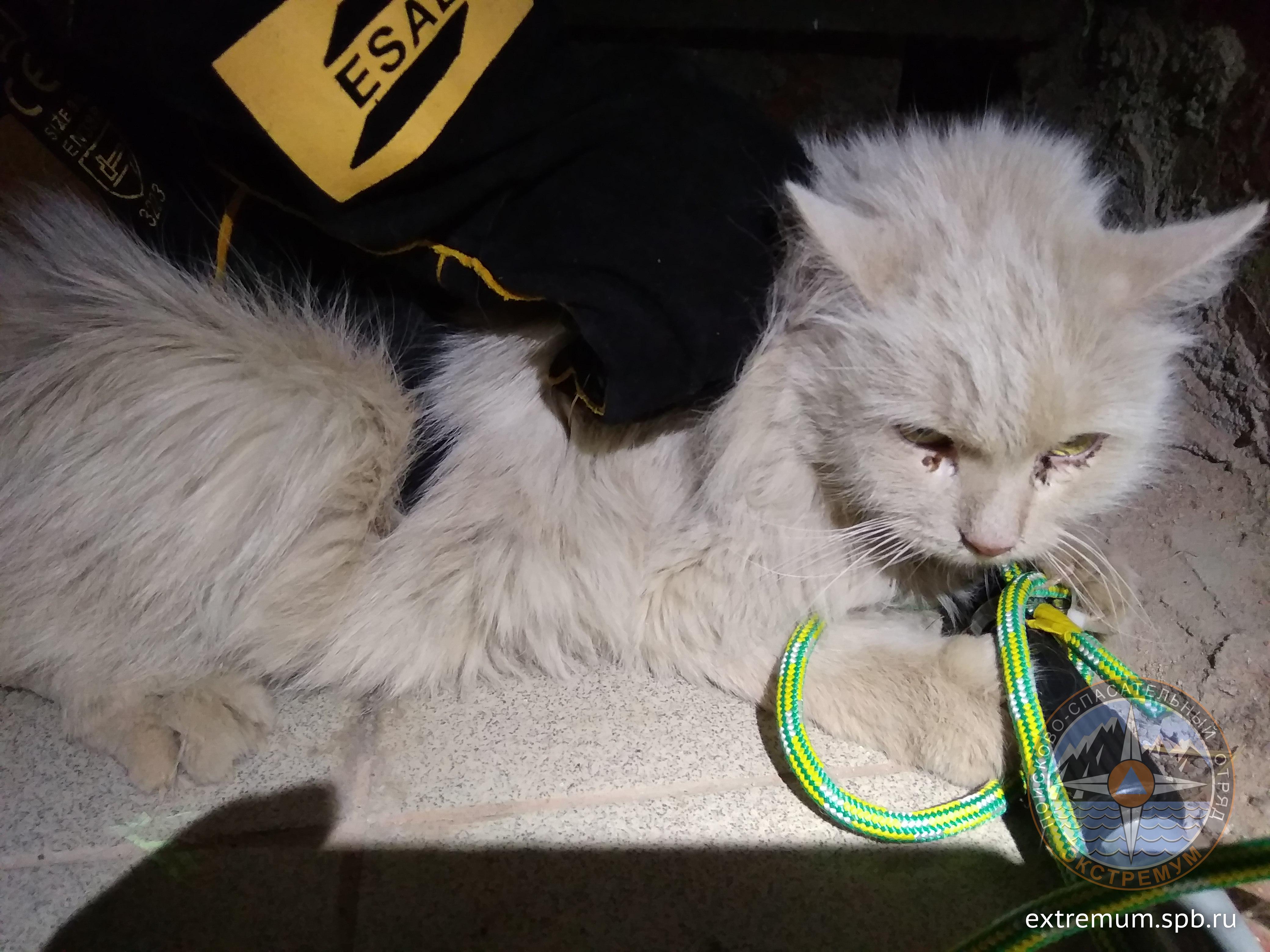 IMG_20190407_113711 (1).jpg