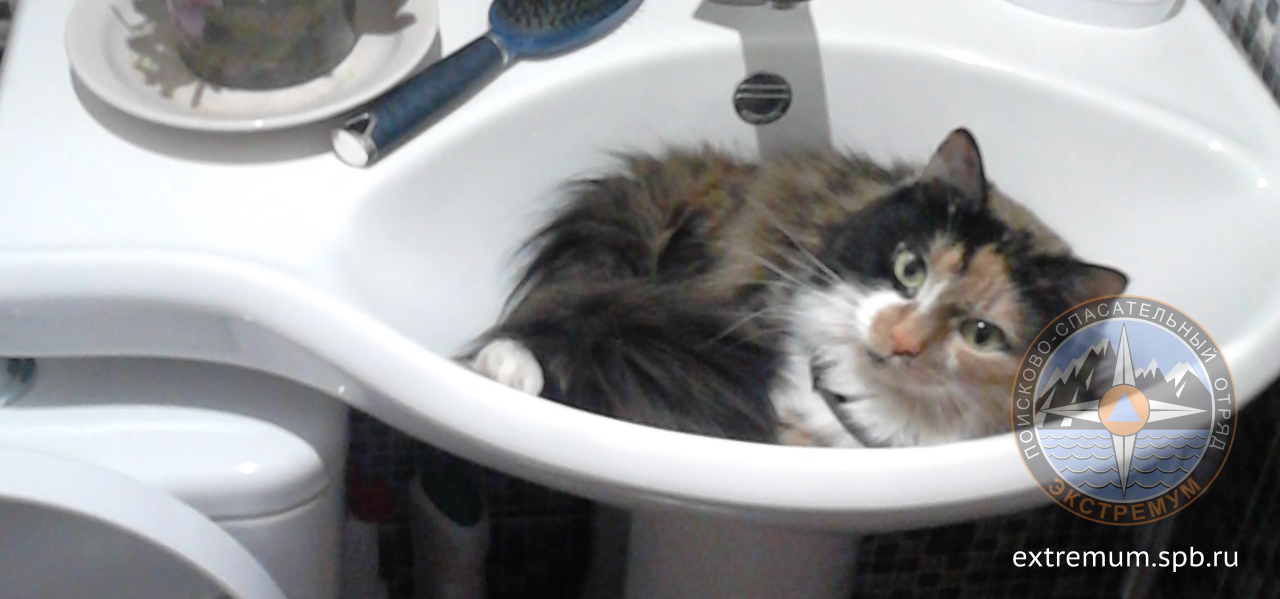 Я вернулась.png