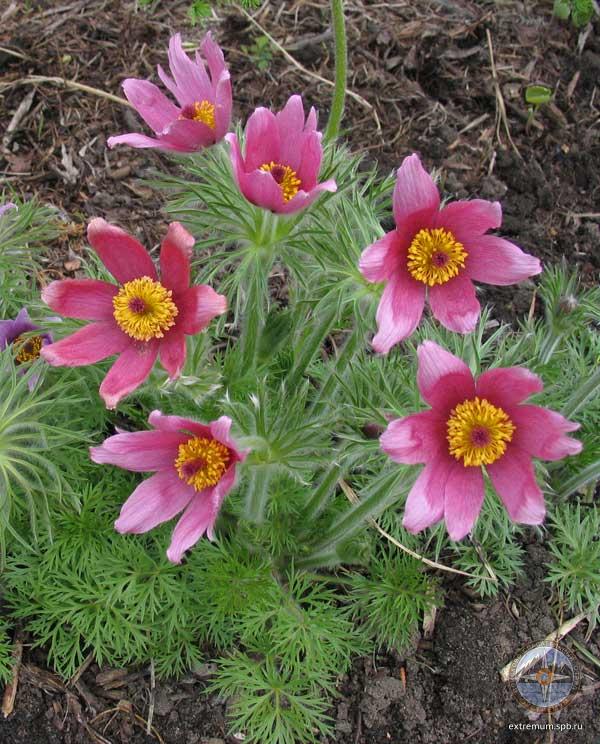 en_8190.jpg
