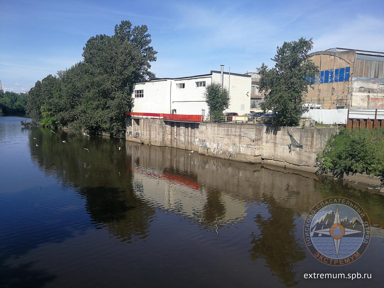 КОТ ОХТА 1.jpg