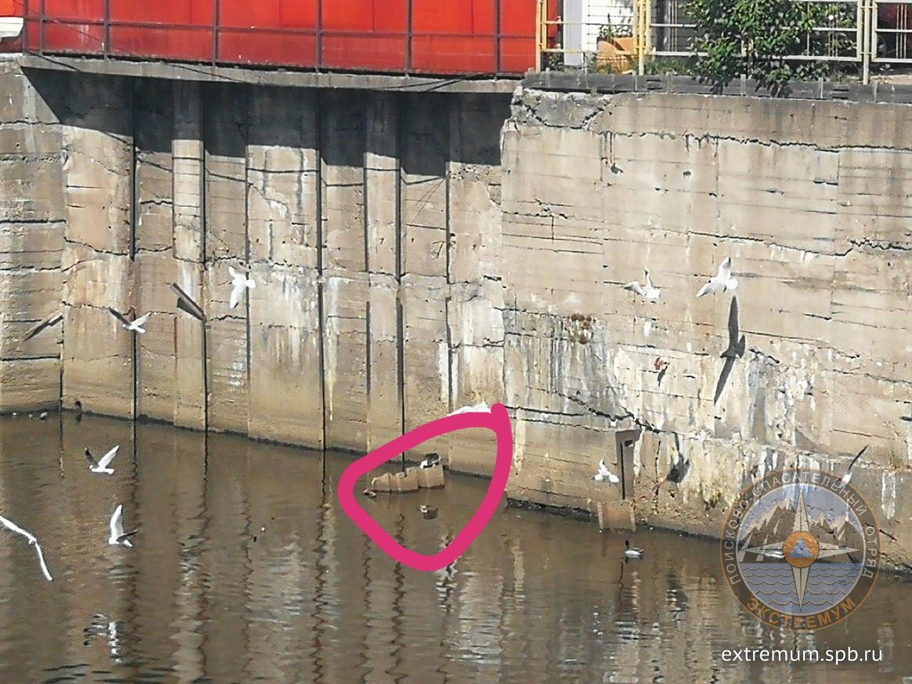 КОТ ОХТА 2.jpg