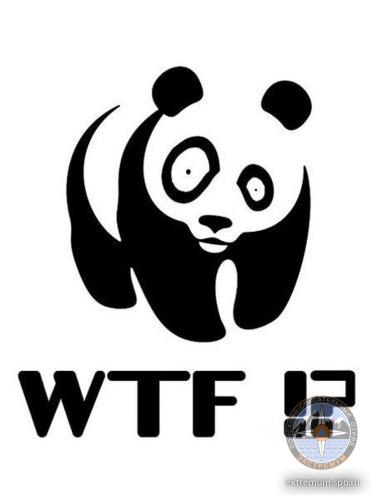 IMG_6678.JPG
33.36 КБ, Просмотров: 3953 IMG_6678.JPG