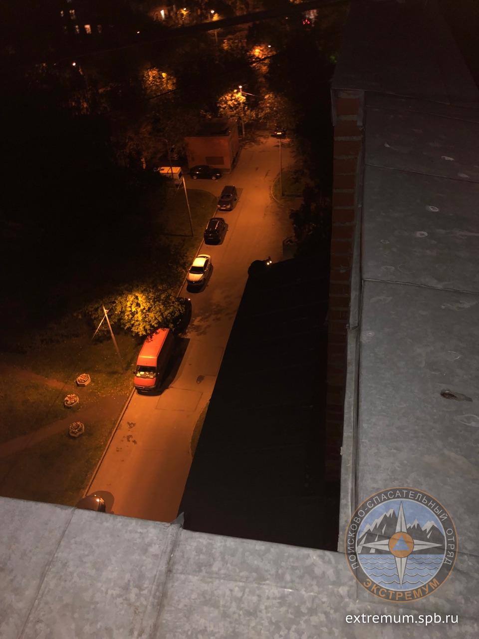 кошка на балконе.jpg