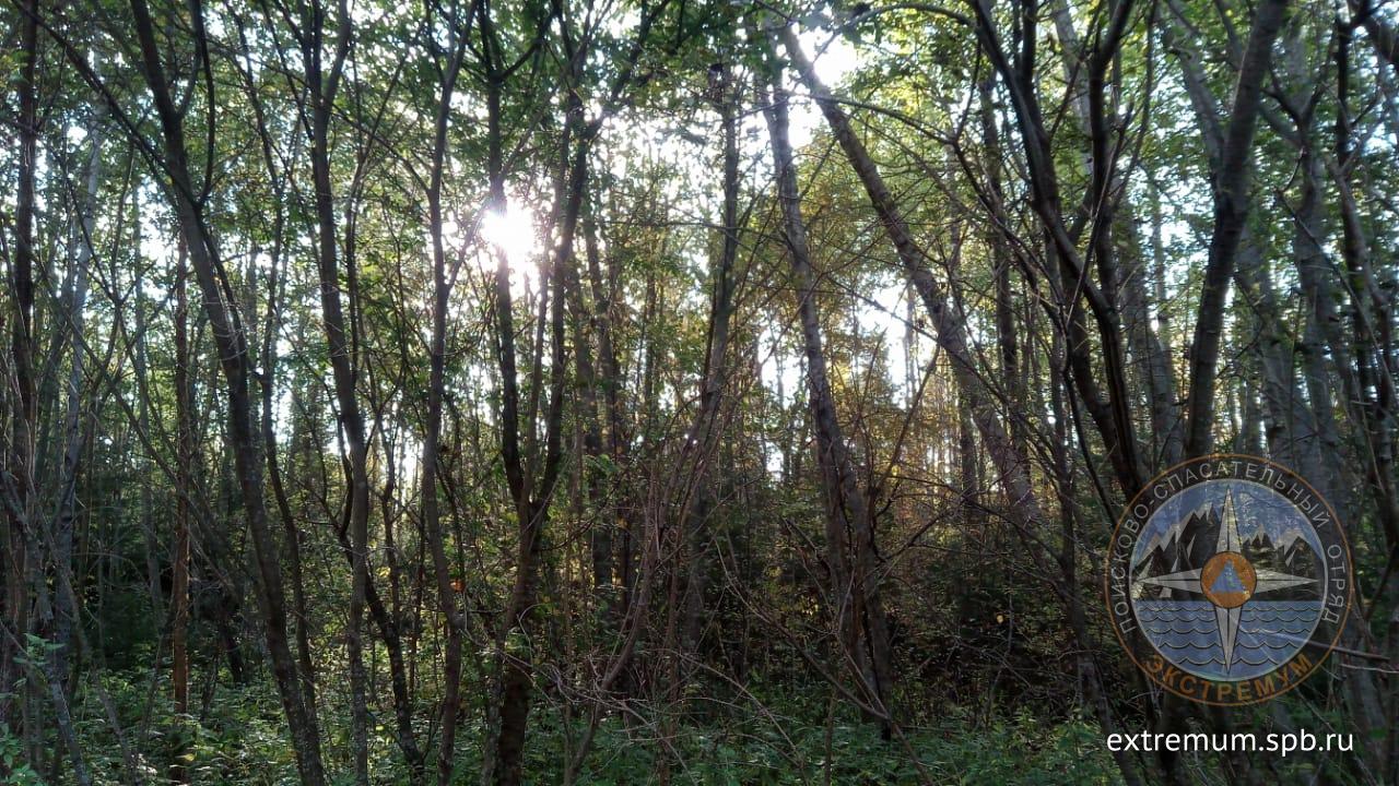 IMG-20191001-WA0003.jpg