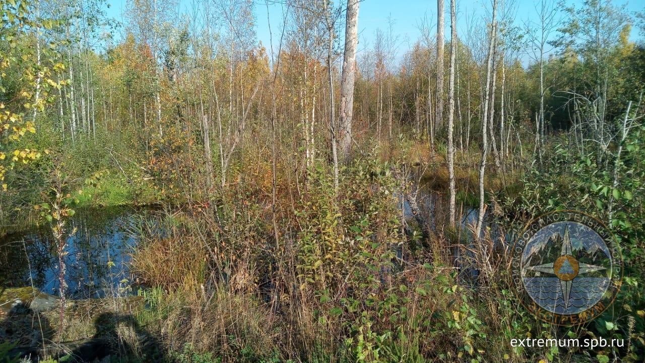IMG-20191001-WA0004.jpg