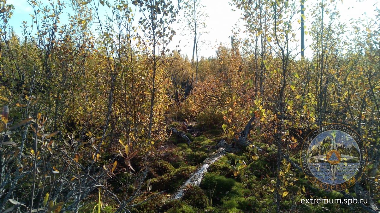 IMG-20191001-WA0005.jpg