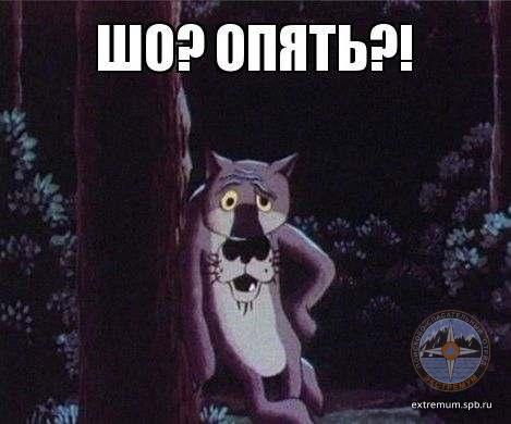 шо.jpg