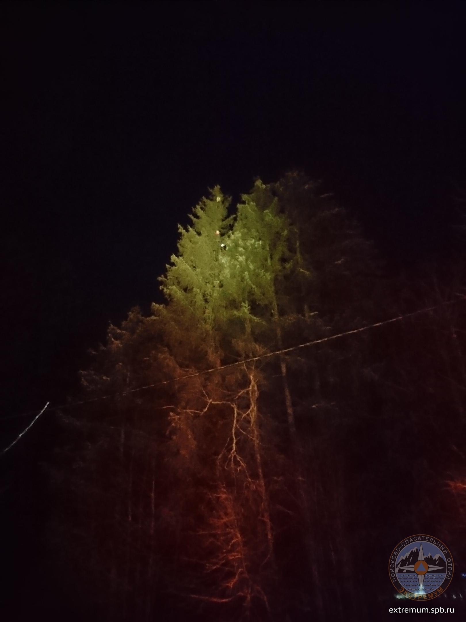 20191202_104524.jpg