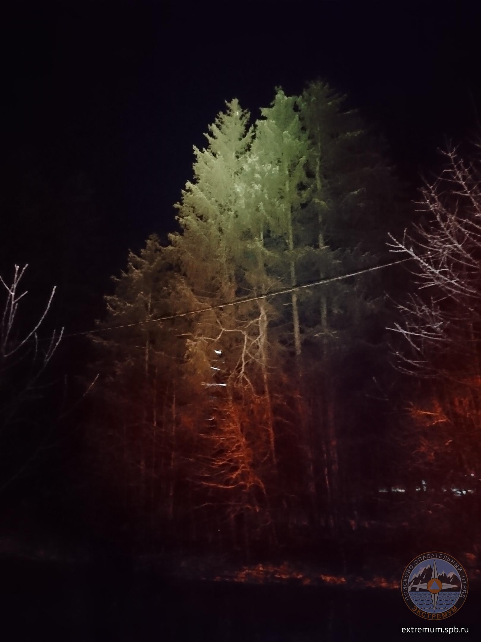 20191202_104455.jpg