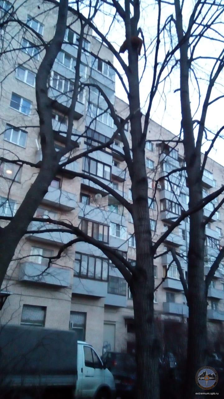 WhatsApp Image 2020-04-08 at 20.01.51.jpeg