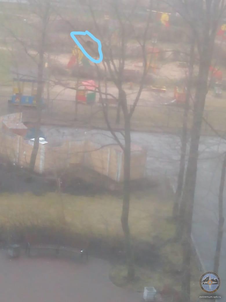 кот на Благотатной.jpg