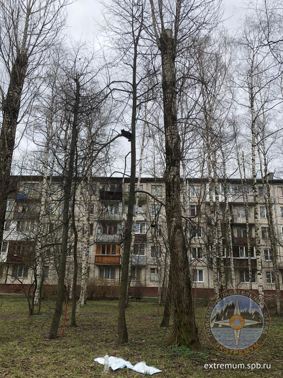 Витебский 1.jpg