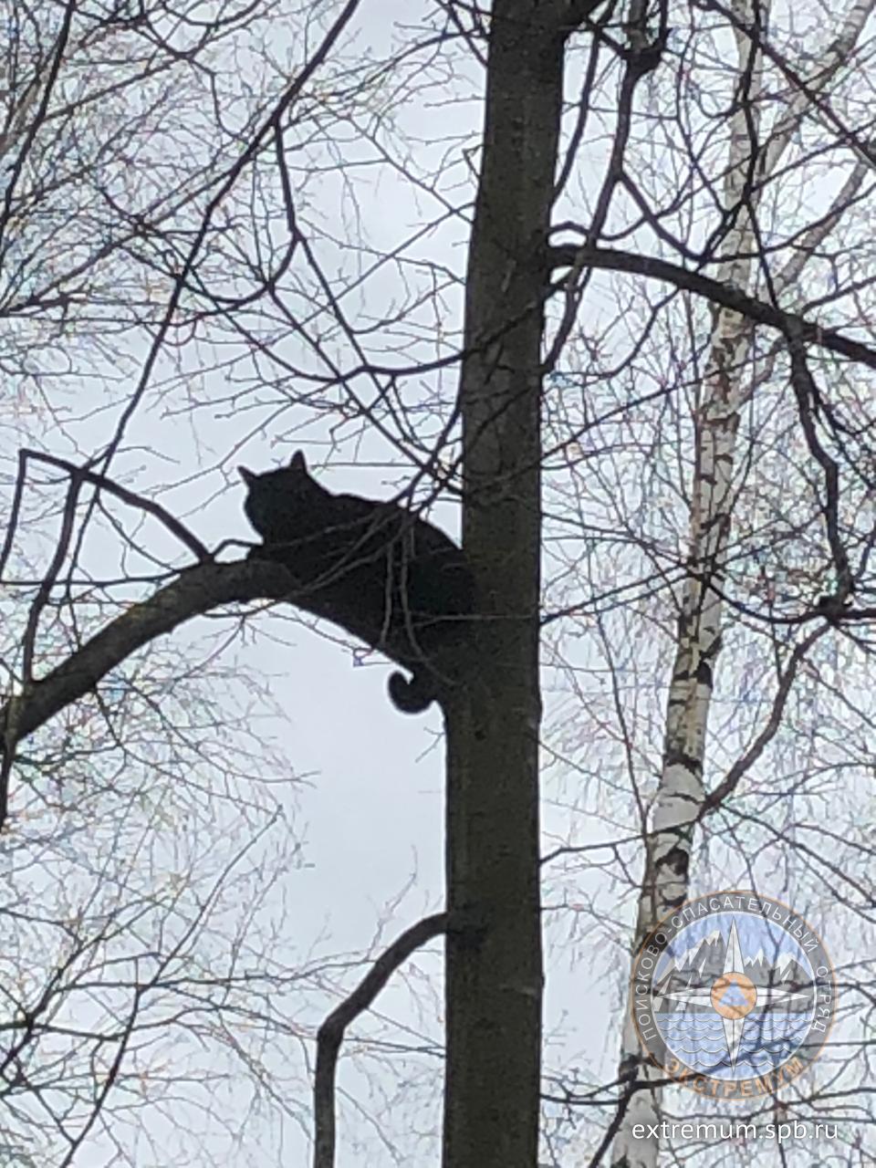 Витебский 2.jpg