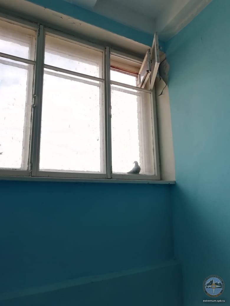 WhatsApp Image 2020-04-26 at 13.04.14 (2).jpeg