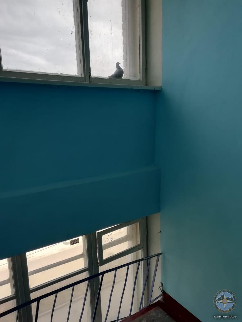 WhatsApp Image 2020-04-26 at 13.04.14 (1).jpeg