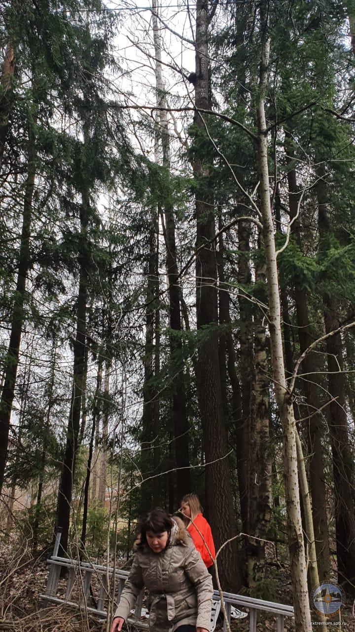 WhatsApp Image 2020-04-26 at 13.35.09.jpeg