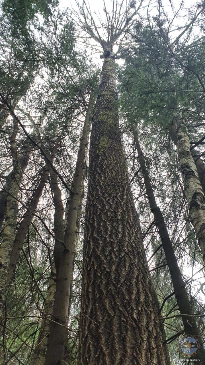 WhatsApp Image 2020-04-26 at 13.35.09 (1).jpeg