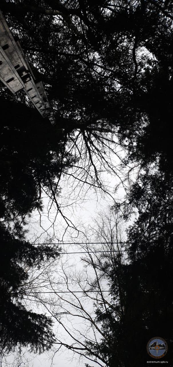 WhatsApp Image 2020-04-26 at 13.35.38.jpeg