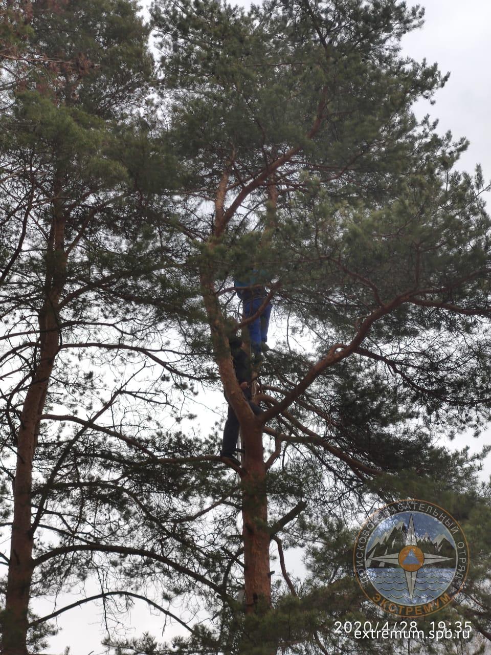 WhatsApp Image 2020-04-29 at 11.47.46.jpeg