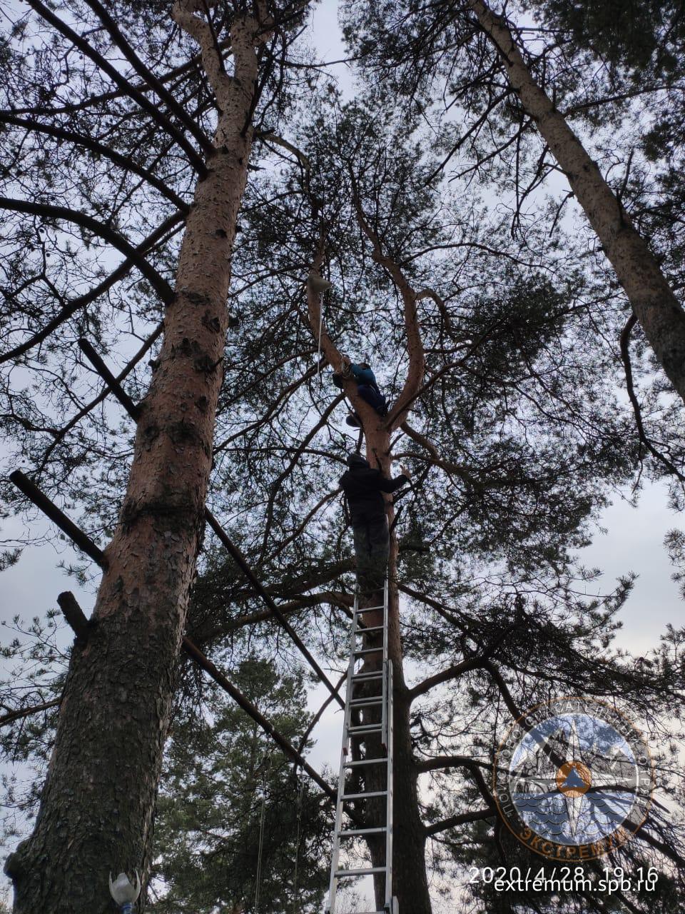 WhatsApp Image 2020-04-29 at 11.47.45.jpeg