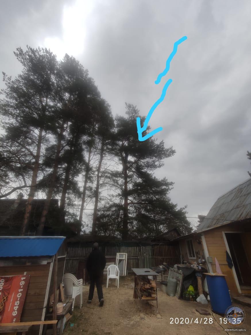 WhatsApp Image 2020-04-29 at 11.47.44.jpeg