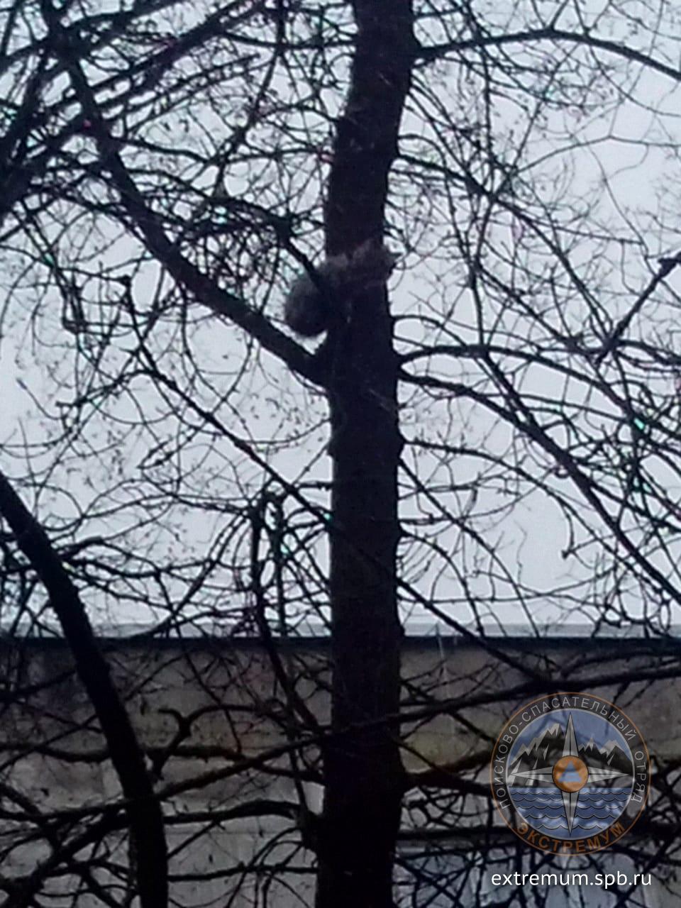 WhatsApp Image 2020-04-29 at 11.36.58.jpeg