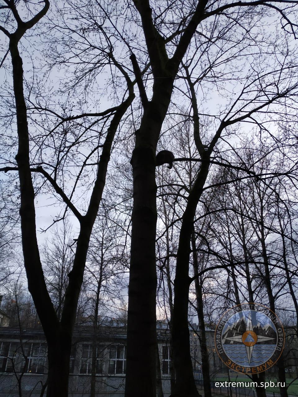 WhatsApp Image 2020-04-29 at 21.03.02.jpeg