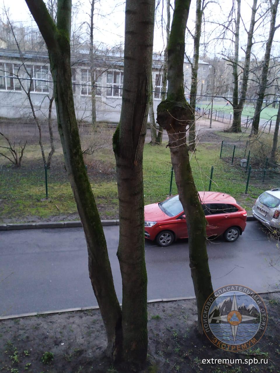 WhatsApp Image 2020-04-29 at 21.02.53.jpeg