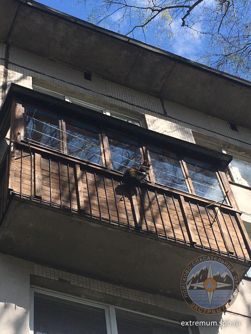 WhatsApp Image 2020-05-05 at 13.38.56.jpeg