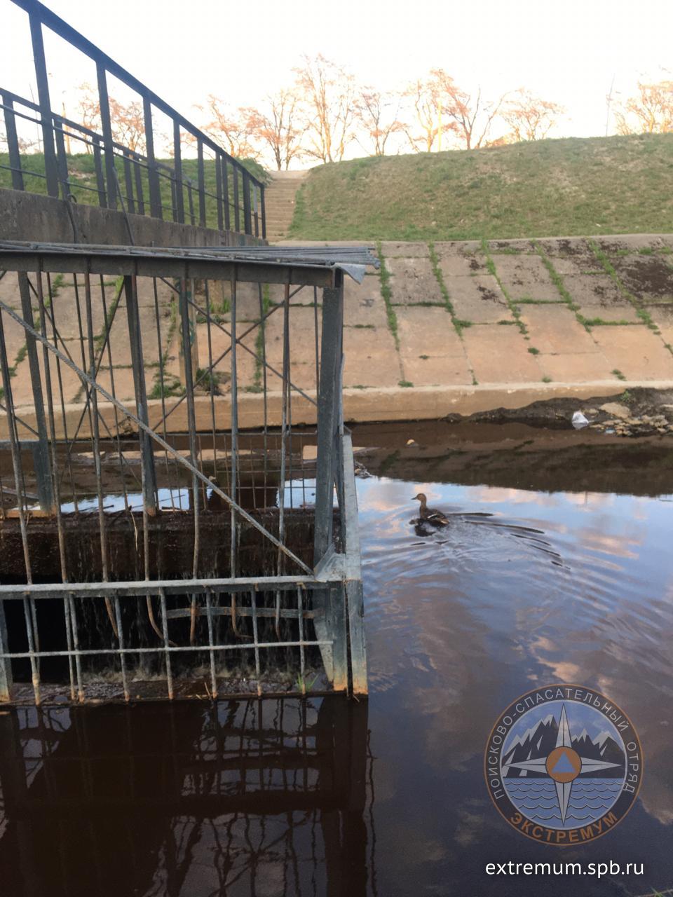 WhatsApp Image 2020-05-06 at 20.27.53 (1).jpeg