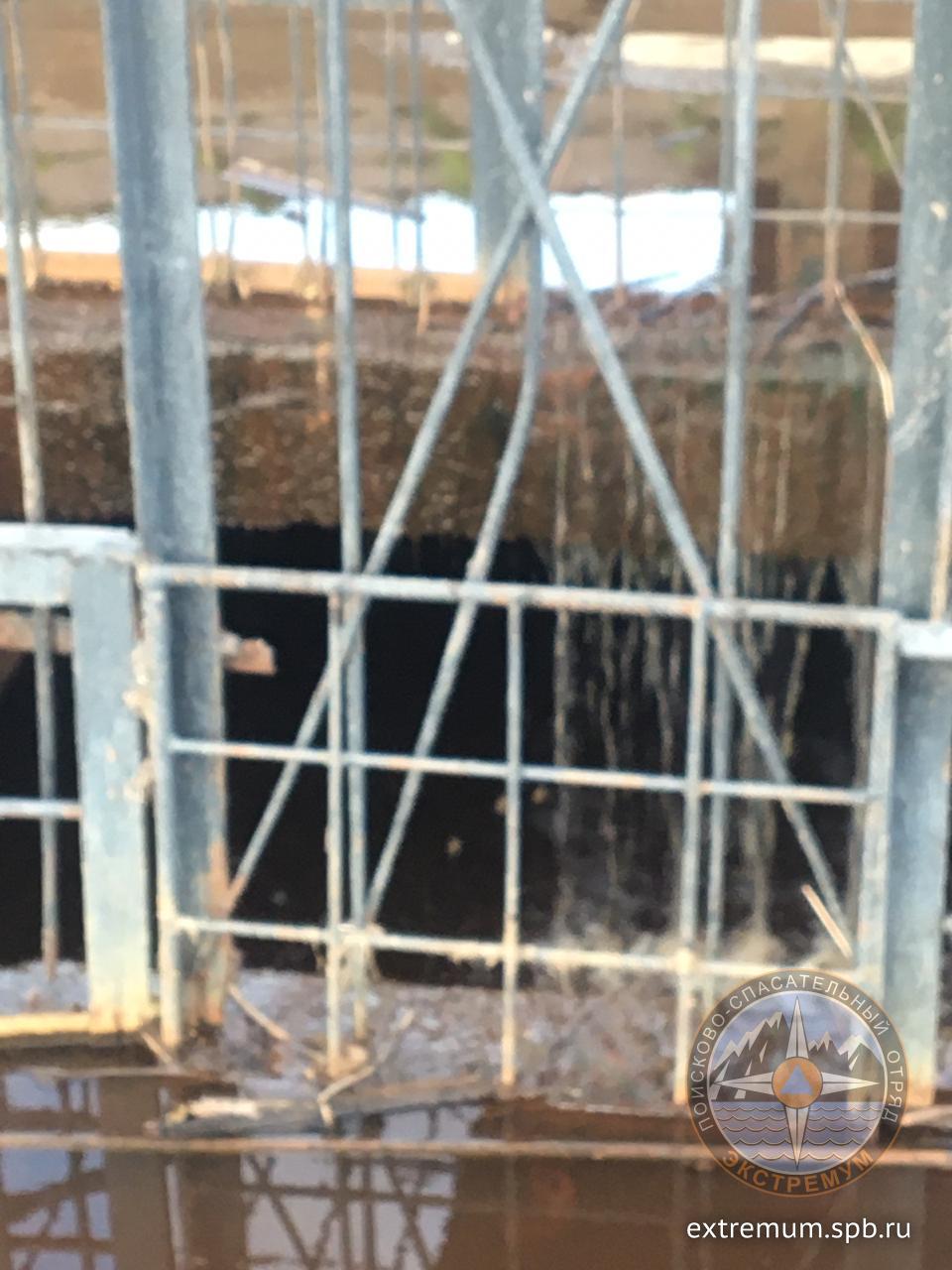 WhatsApp Image 2020-05-06 at 20.27.52.jpeg