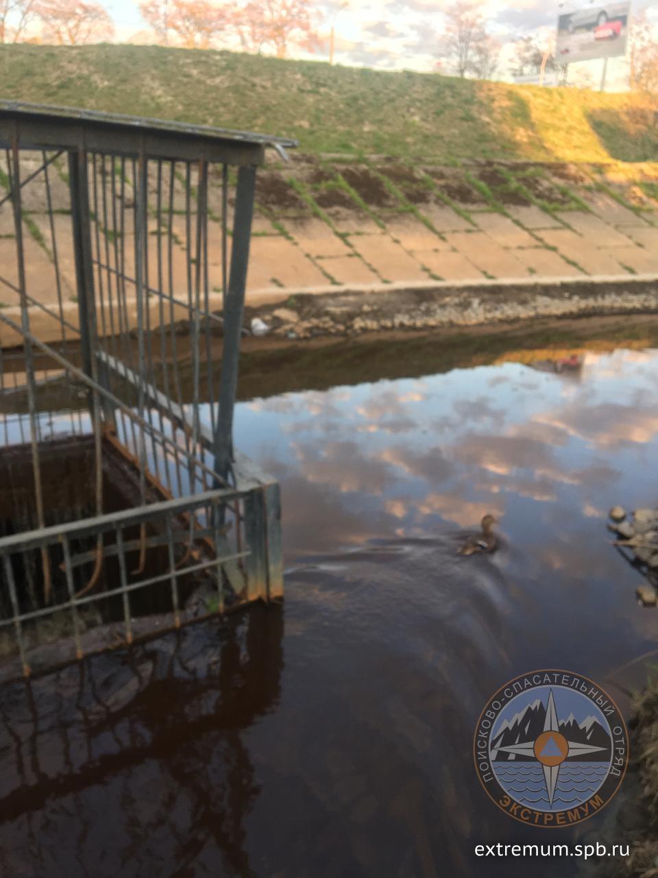 WhatsApp Image 2020-05-06 at 20.27.51 (1).jpeg