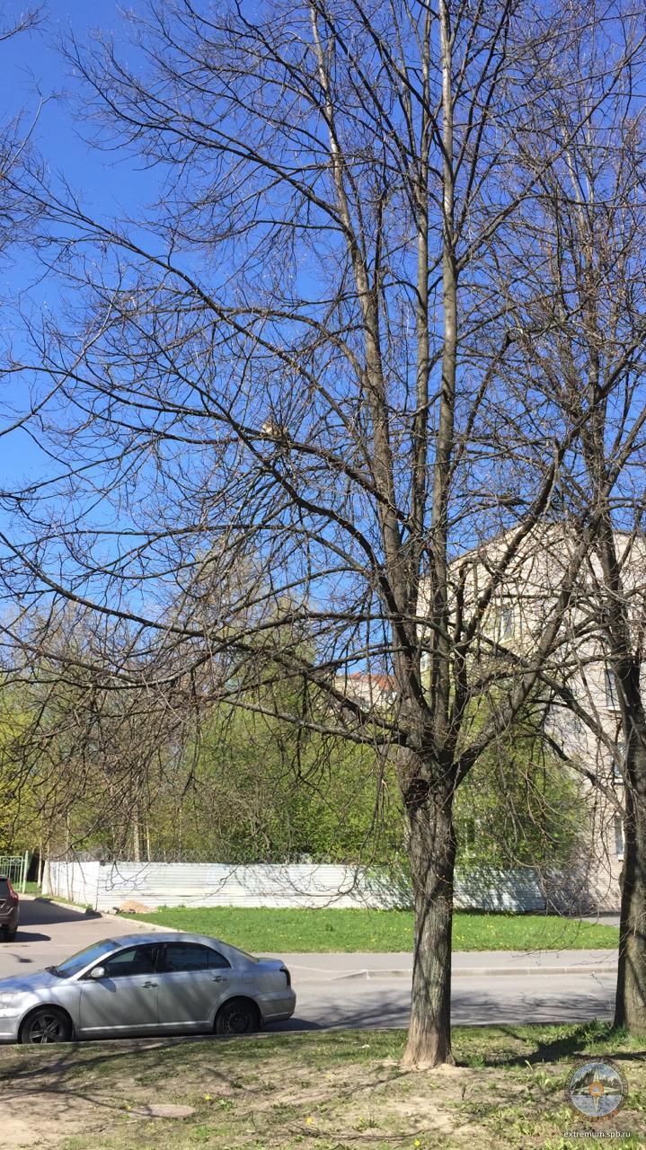 WhatsApp Image 2020-05-09 at 11.11.15.jpeg