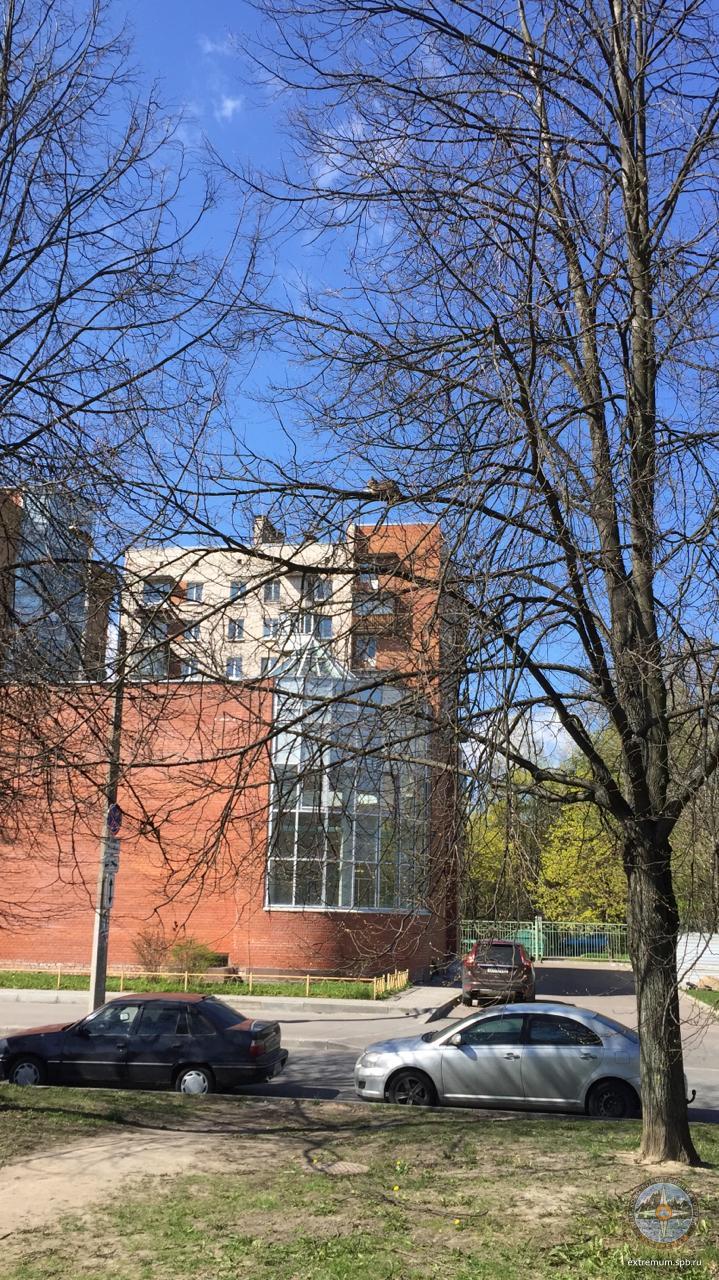 WhatsApp Image 2020-05-09 at 11.11.31.jpeg