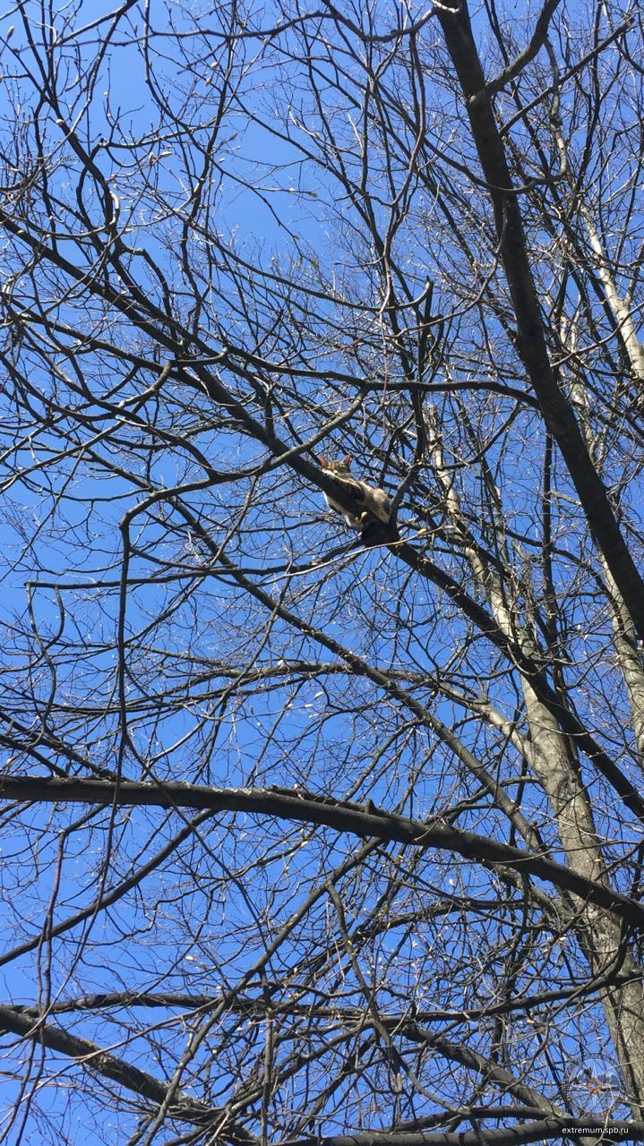 WhatsApp Image 2020-05-09 at 11.11.52.jpeg