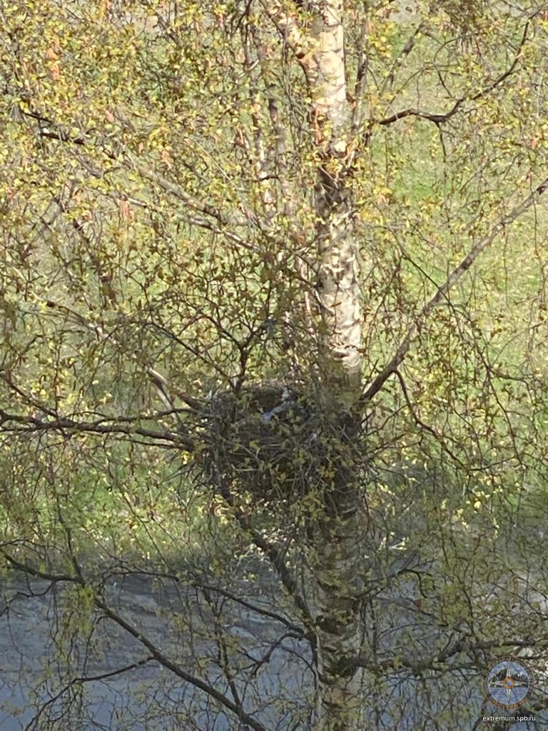 WhatsApp Image 2020-05-09 at 12.54.00 (1).jpeg