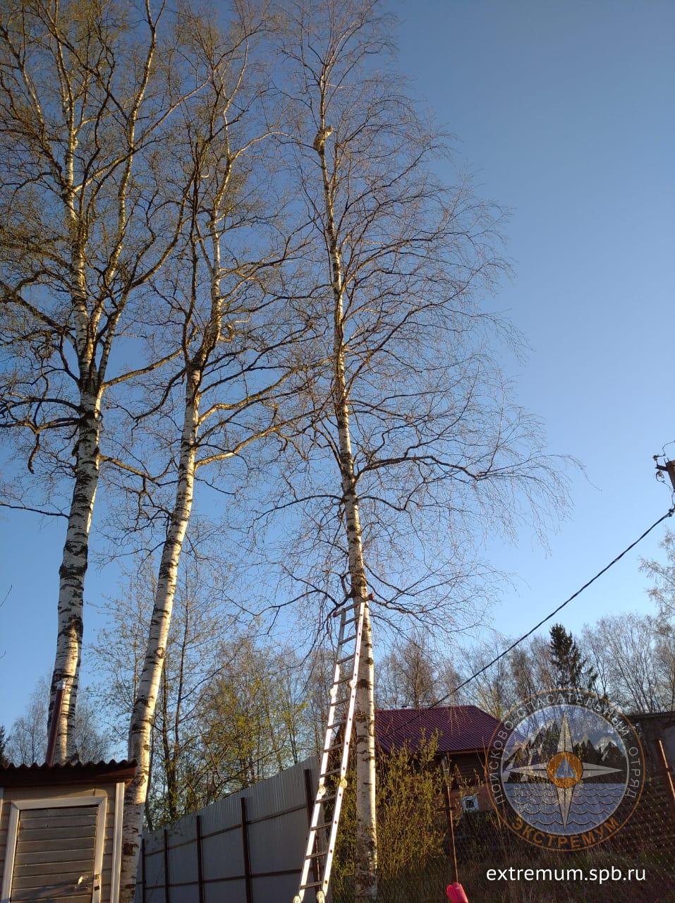 WhatsApp Image 2020-05-09 at 20.29.15.jpeg