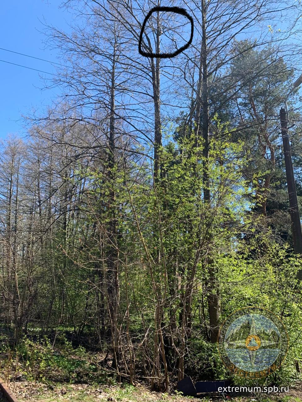 WhatsApp Image 2020-05-10 at 14.38.12.jpeg