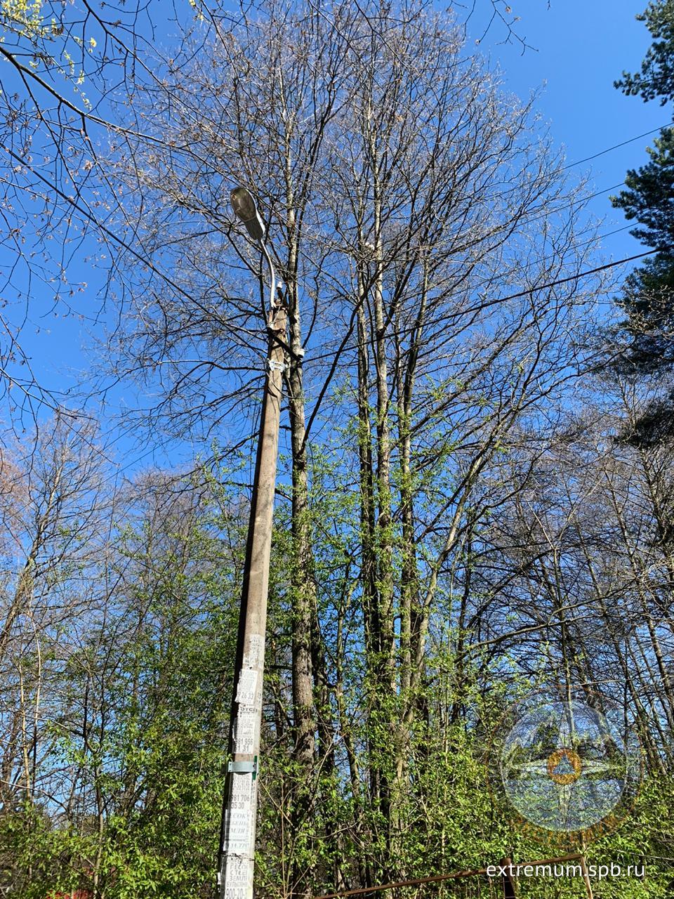 WhatsApp Image 2020-05-10 at 14.38.11.jpeg