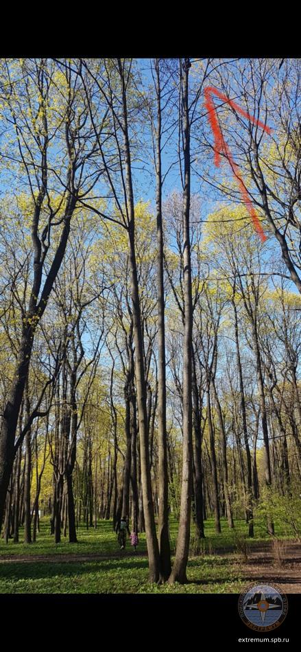 WhatsApp Image 2020-05-10 at 17.27.22.jpeg