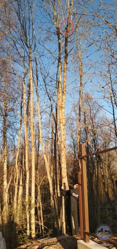 WhatsApp Image 2020-05-10 at 19.58.44.jpeg