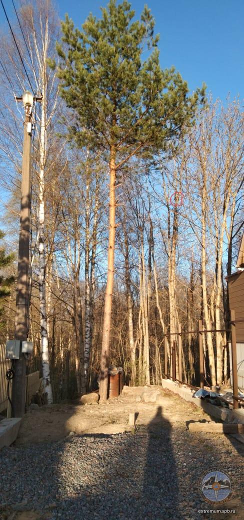 WhatsApp Image 2020-05-10 at 19.58.31.jpeg