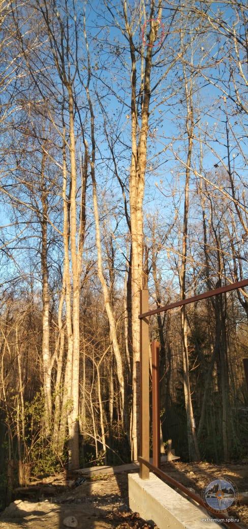 WhatsApp Image 2020-05-10 at 19.58.21.jpeg