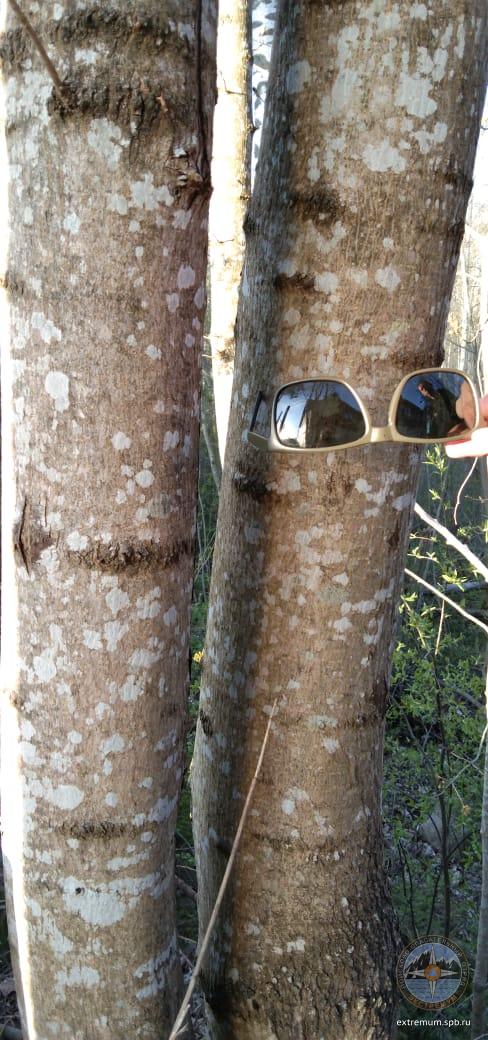 WhatsApp Image 2020-05-10 at 19.58.09 (1).jpeg