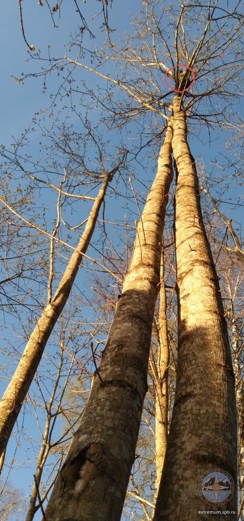 WhatsApp Image 2020-05-10 at 19.58.09.jpeg