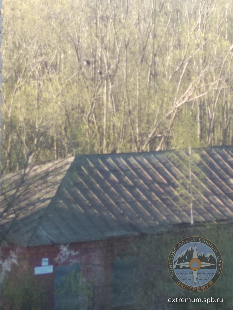 WhatsApp Image 2020-05-13 at 10.37.22.jpeg