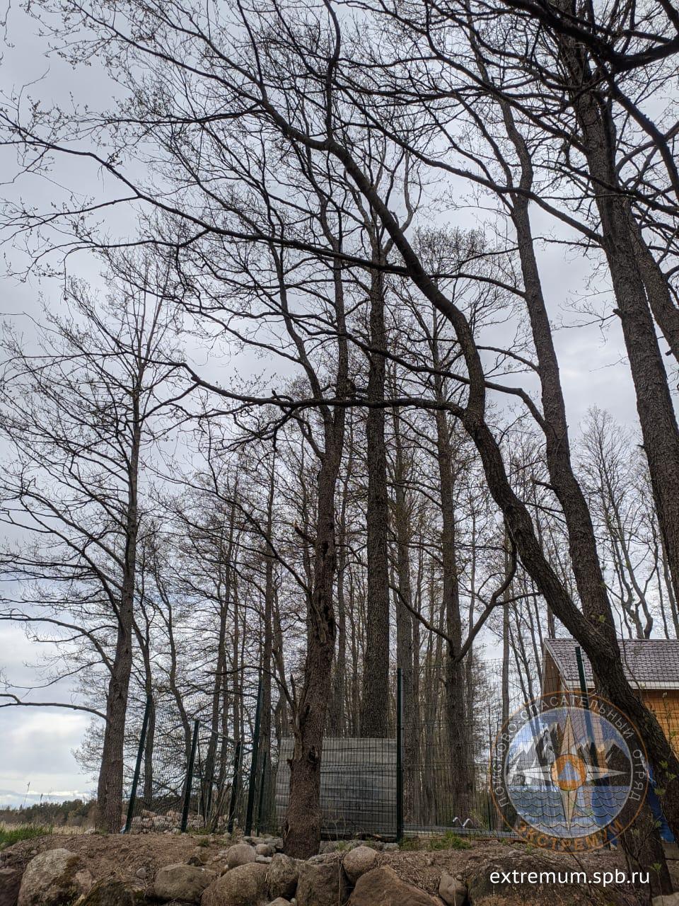 WhatsApp Image 2020-05-13 at 15.09.41.jpeg