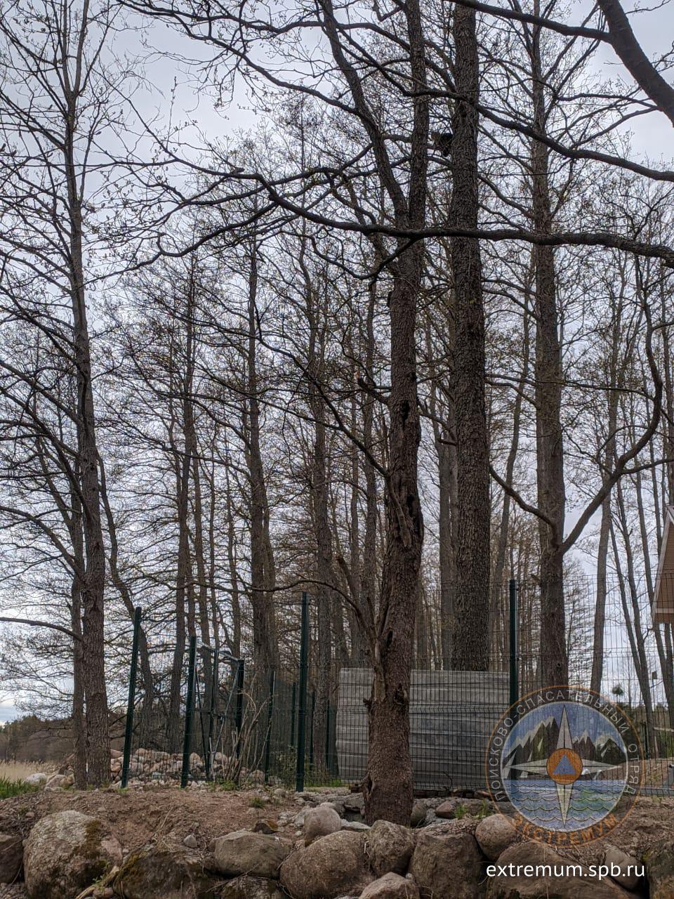 WhatsApp Image 2020-05-13 at 15.08.49.jpeg