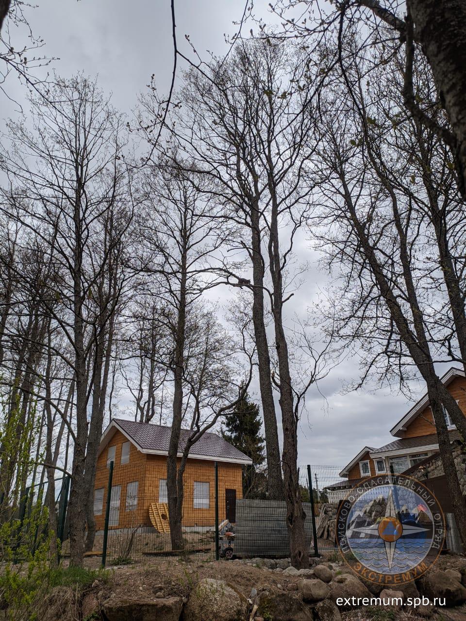 WhatsApp Image 2020-05-13 at 15.08.39.jpeg