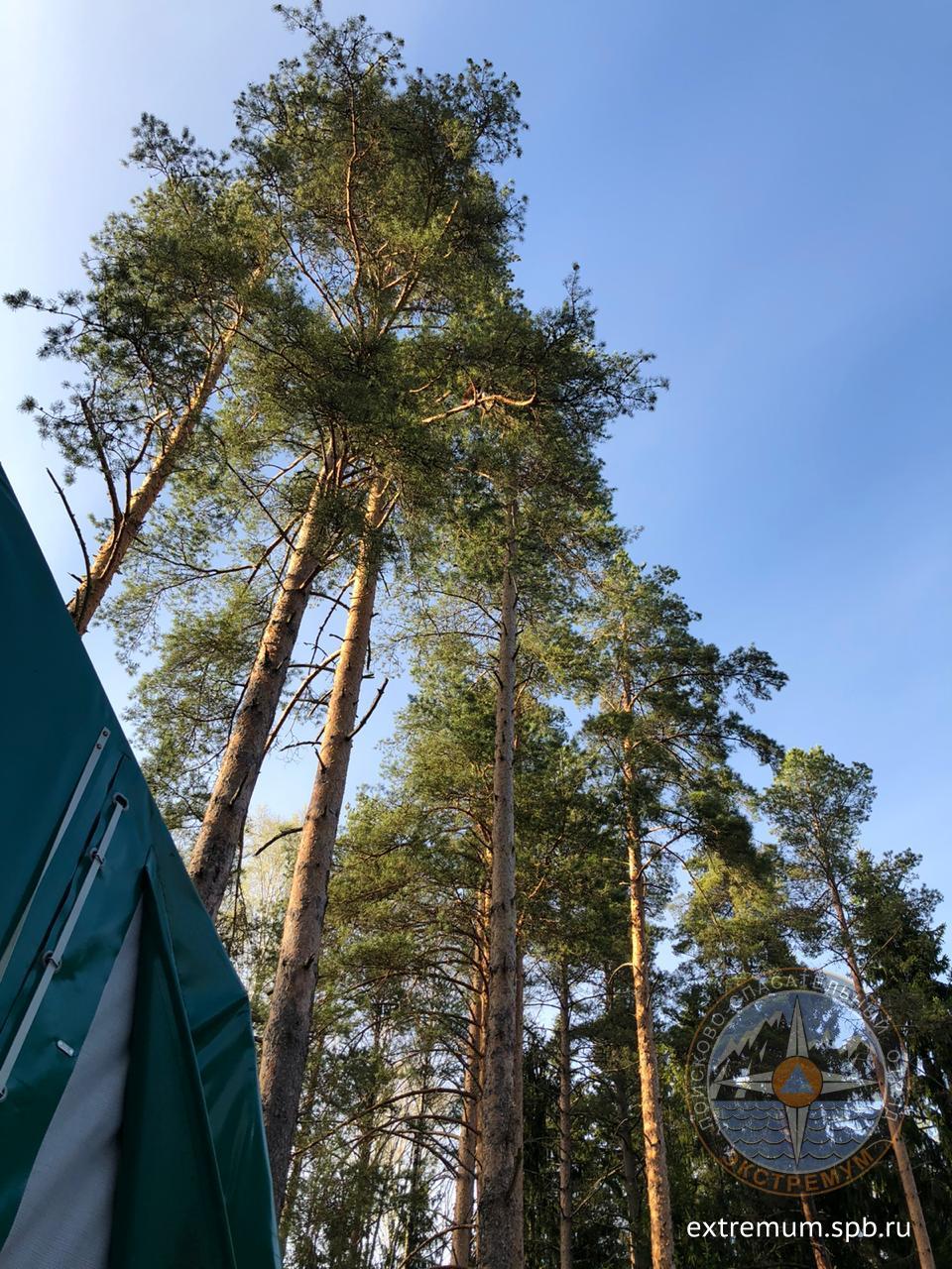 WhatsApp Image 2020-05-13 at 19.06.52 (1).jpeg